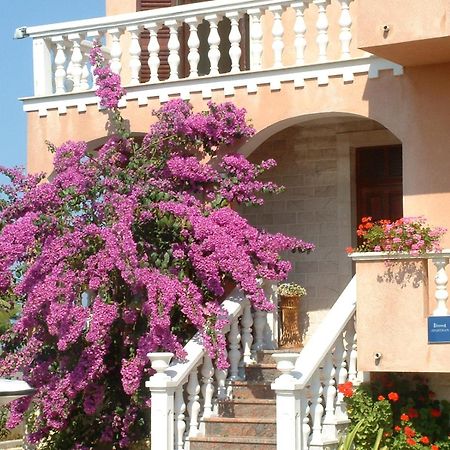 Apartment Valerija Privlaka  Bagian luar foto
