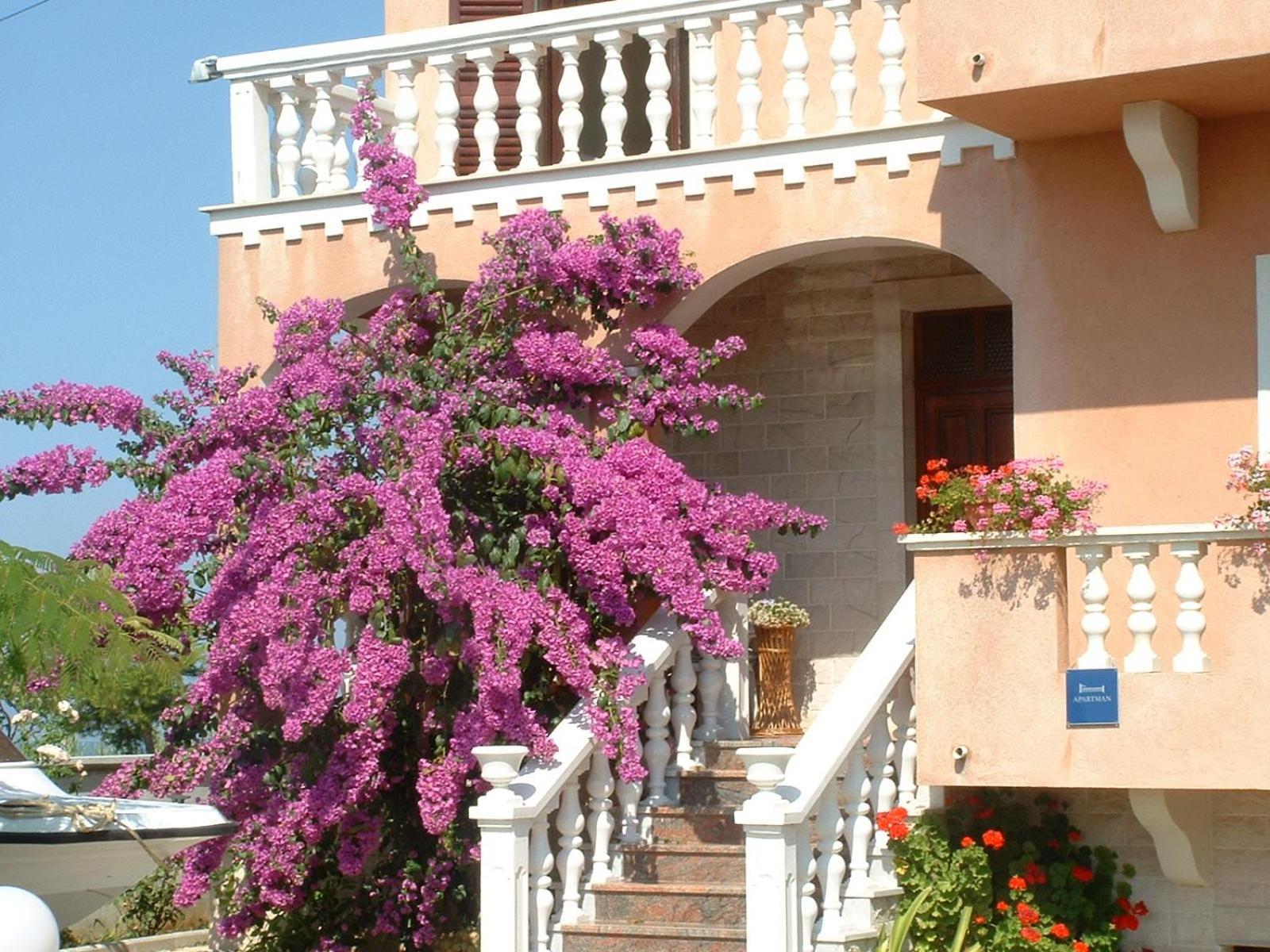 Apartment Valerija Privlaka  Bagian luar foto